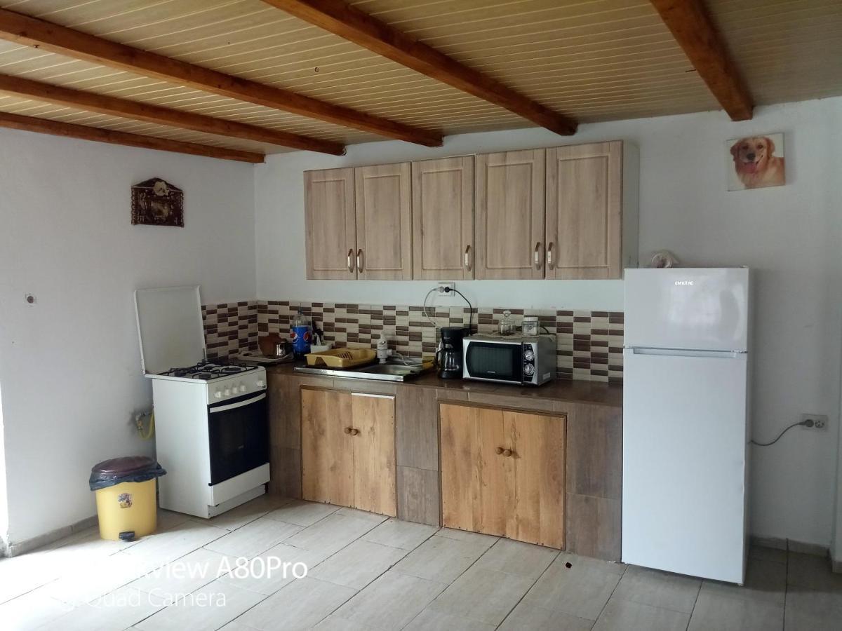 Casa Mari Ξενοδοχείο Cîrţişoara Εξωτερικό φωτογραφία