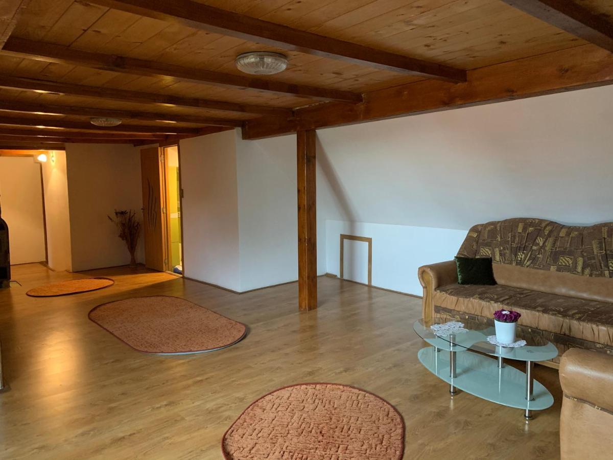Casa Mari Ξενοδοχείο Cîrţişoara Εξωτερικό φωτογραφία
