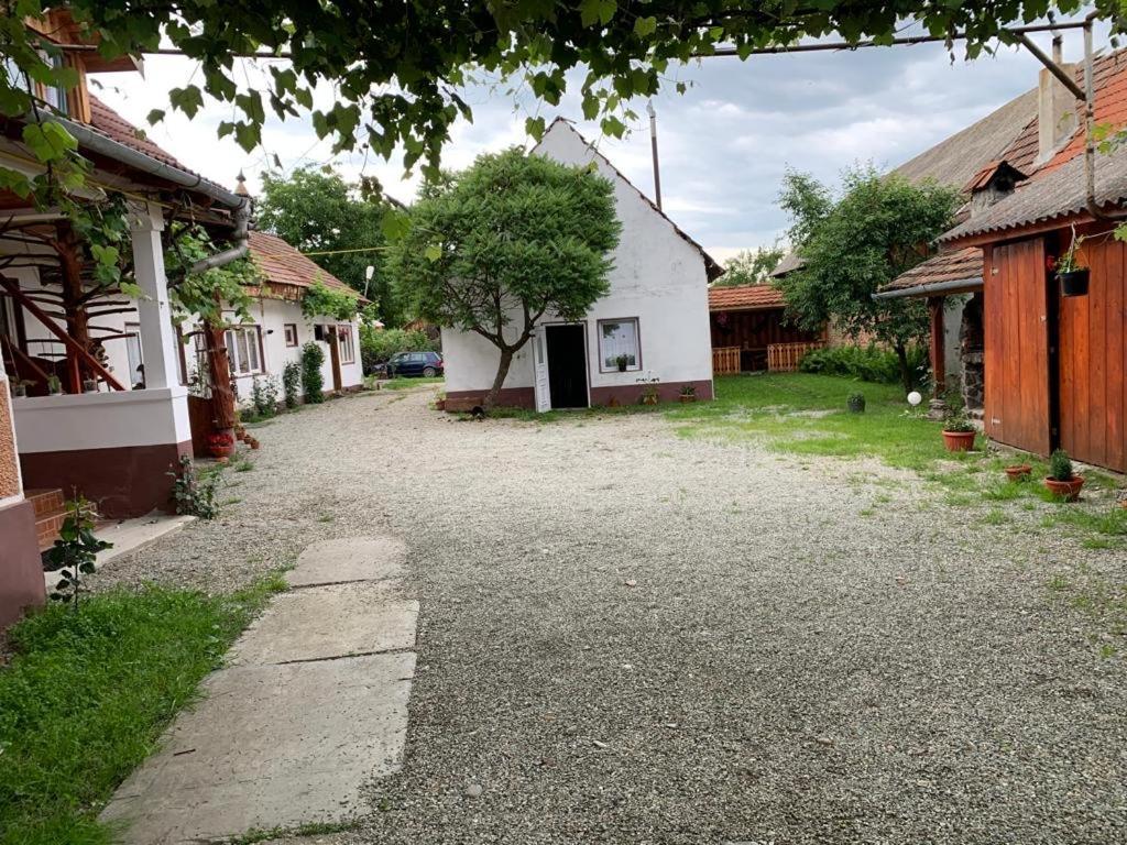 Casa Mari Ξενοδοχείο Cîrţişoara Εξωτερικό φωτογραφία