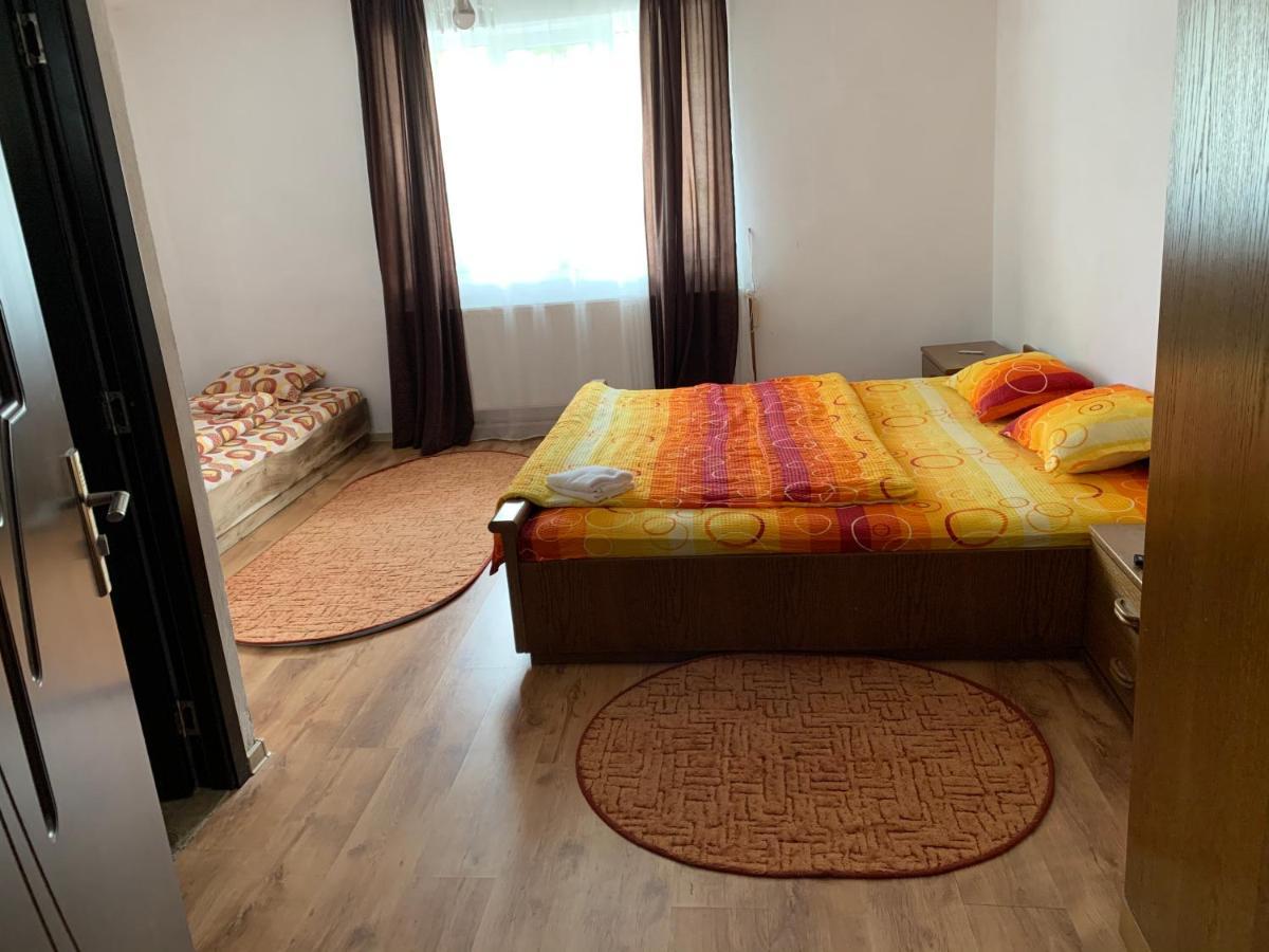 Casa Mari Ξενοδοχείο Cîrţişoara Εξωτερικό φωτογραφία