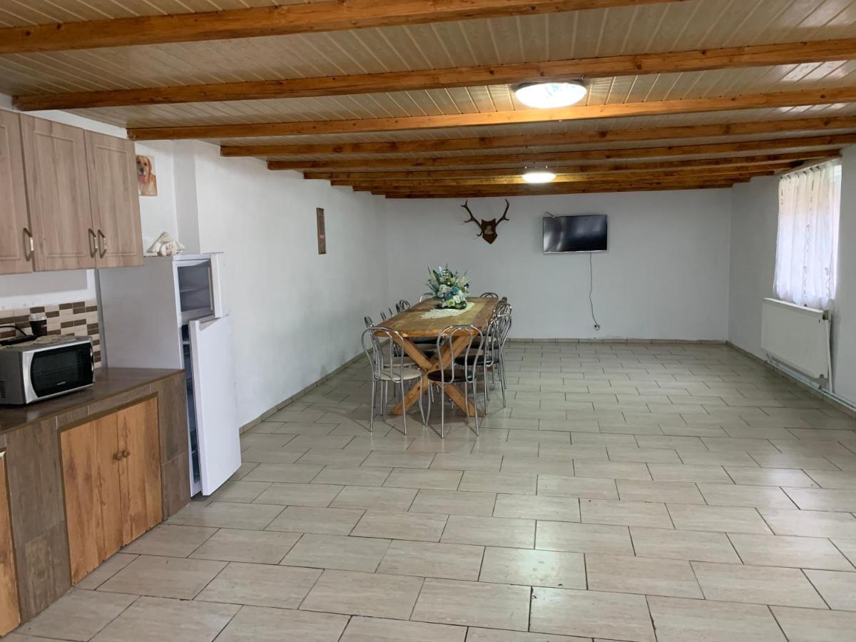 Casa Mari Ξενοδοχείο Cîrţişoara Εξωτερικό φωτογραφία