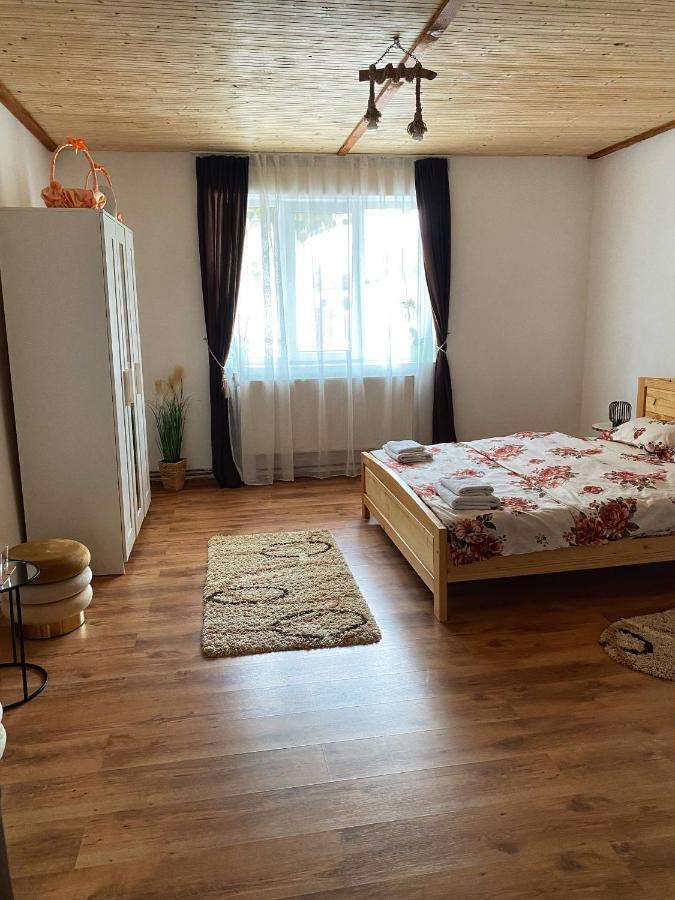 Casa Mari Ξενοδοχείο Cîrţişoara Εξωτερικό φωτογραφία
